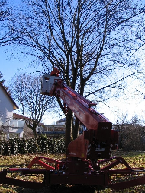 Hebebühne für Baumfällung - ANDERLIK GmbH